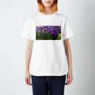 ももたんのスイセン Regular Fit T-Shirt