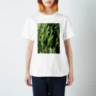 yuNN3のスギナ　水滴　写真 Regular Fit T-Shirt