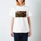 薔薇屋の群れ薔薇 スタンダードTシャツ