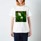 asako=niagaraの植物図鑑 ハクサンイチゲ スタンダードTシャツ