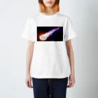 ﾆｪﾝﾁｪﾝｽﾞの耳毛彗星 スタンダードTシャツ