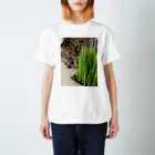 こじろー@つくばの猫草とムギ スタンダードTシャツ