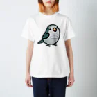 Cody the LovebirdのChubby Bird オキナインコ スタンダードTシャツ