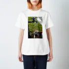 シッポ追いの猫写真店の命の水 Regular Fit T-Shirt