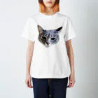 k-lab（ケイラボ）のMute Regular Fit T-Shirt