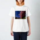 landscapeの早咲きの桜 スタンダードTシャツ