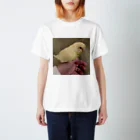 landscapeのみーすけちゃん Regular Fit T-Shirt