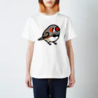 Cody the LovebirdのChubby Bird キンカチョウ スタンダードTシャツ