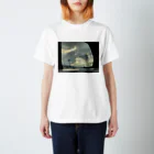 2929gawDesignShop358のSunset over the Mirror スタンダードTシャツ