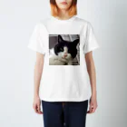 サンドイッチ舎の雨猫クロさん スタンダードTシャツ