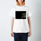 枠T専門店『Frame』の写真枠T/ふわりとした何か スタンダードTシャツ