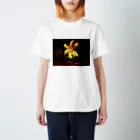 Y-Tの輝け花よ Regular Fit T-Shirt