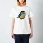 Cody the LovebirdのChubby Bird ウロコインコ スタンダードTシャツ