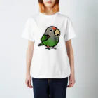 Cody the LovebirdのChubby Bird ハネナガインコ スタンダードTシャツ