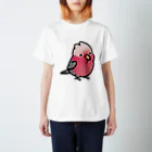 Cody the LovebirdのChubby Bird　モモイロインコ Regular Fit T-Shirt