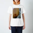 温かい写真館の立春 Regular Fit T-Shirt