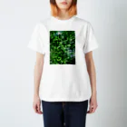 favorite  of  mineの木漏れ日T Regular Fit T-Shirt