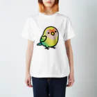 Cody the LovebirdのChubby Bird コザクラインコ スタンダードTシャツ
