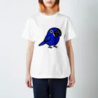 Cody the LovebirdのChubby Bird スミレコンゴウインコ スタンダードTシャツ