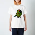 Cody the LovebirdのChubby Bird アカミミコンゴウインコ スタンダードTシャツ