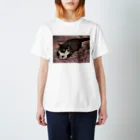 12cats-12secondsの見つめる清のTシャツ スタンダードTシャツ