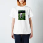 宍村の実家の犬２ スタンダードTシャツ