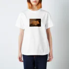 YOKOのSHOPのKoma Regular Fit T-Shirt