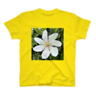 でおきしりぼ子の実験室の梔子の花 スタンダードTシャツ