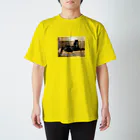 ♬あらかわいきもの倶楽部♬のいい子におるすばん Regular Fit T-Shirt