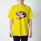 よもぎ屋のミケ猫テマのすやすやお昼寝 スタンダードTシャツ