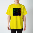 Kamei Rinzoの名字ランキング スタンダードTシャツ