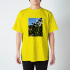 かけす堂　楽描き部門の木漏れ日と金柑 Regular Fit T-Shirt