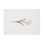 rilybiiの*airy sugar antique flower Stickable Poster :horizontal position