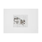 【CPPAS】Custom Pet Portrait Art Studioの マルチーズドッグ - レンガブロック背景 Stickable Poster :horizontal position