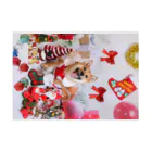 柴犬グッズ専門店 あられ堂の柴犬 MARRY CHRISTMAS ! 赤いリボン Stickable Poster :horizontal position