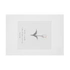 rilybiiのShabby Chic , Tulip . Stickable Poster :horizontal position