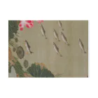 寿めでたや(ukiyoe)の日本画：伊藤若冲_蓮池遊魚図 Stickable Poster :horizontal position
