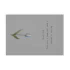 rilybiiのTULIP, white gray blue . Stickable Poster :horizontal position