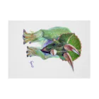 segasworksのTriceratops Stickable Poster :horizontal position