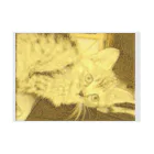 金色猫のキラキラネコ 吸着ポスターの横向き
