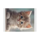 アルタイルの可愛い仔猫のイラストグッズ Stickable Poster :horizontal position
