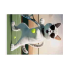 ryusky_333のサングラステニスをやる気でいるサングラス姿の猫 Stickable Poster :horizontal position