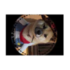 117hibikiの柴犬COOUo･ｪ･oU Stickable Poster :horizontal position