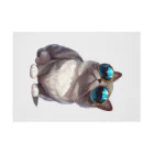 AQUAMETAVERSEのサングラスをかけた、かわいいネコ Marsa 106 Stickable Poster :horizontal position
