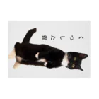 こはぜ日和  kohaze biyoriのくつした猫 Stickable Poster :horizontal position