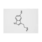 シンプルなケミカルたち。の精神安定 セロトニン（ブラック）Serotonin（Black） 吸着ポスターの横向き