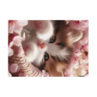 Chimetimeの桜と子猫 吸着ポスターの横向き