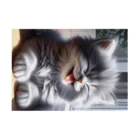 kangekiのあかんべにゃんこNo.4 Stickable Poster :horizontal position