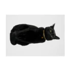 黒猫マメちゃんの魅惑ショップのリアル黒猫マメちゃんグッズ 吸着ポスターの横向き