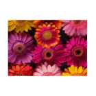 オンラインショップイエローリーフの色鮮やかな綺麗な花 Stickable Poster :horizontal position